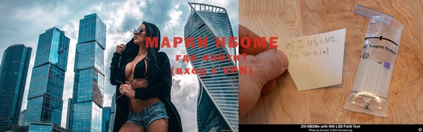 прущие грибы Алексеевка
