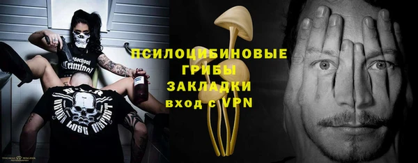 прущая мука Алзамай