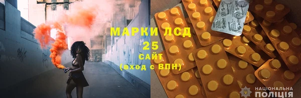 прущие грибы Алексеевка
